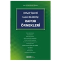 Hesap İşleri, Mali Bilirkişi Rapor Örnekleri - Sabri Burak Arzova