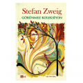 Görünmez Koleksiyon - Stefan Zweig
