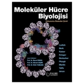 Moleküler Hücre Biyolojisi - Kolektif