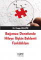  Bağımsız Denetimde Hileye İlişkin Beklenti Farklılıkları - Mehmet Maşuk Fidan