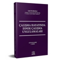 Çalışma Hayatında Esnek Çalışma Uygulamaları - Lütfi İnciroğlu