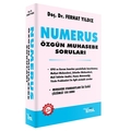 Numerus Özgün Muhasebe Soruları Temsil Kitap Yayınları