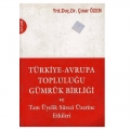 Türkiye - Avrupa Topluluğu Gümrük Birliği - Çınar Özen