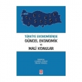 Türkiye Ekonomisinde Güncel Ekonomik ve Mali Konular - Cansel Oksay, Cihan Yüksel