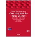 Yargıtay Ceza Genel Kurulu Ceza Usul Hukuku Karar Özetleri - Didem Yeldan