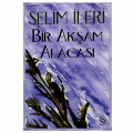 Bir Akşam Alacası - Selim İleri