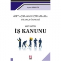 Özet Açıklamalı İçtihatlarla Dilekçe Örnekli 485 İŞ KANUNU - Aysun Pinegöz