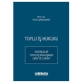  Toplu İş Hukuku - Fevzi Şahlanan
