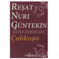  Çalıkuşu - Reşat Nuri Güntekin