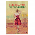 Geç Ödenen Bedel - Stefan Zweig