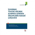 İşyerinde Tehlike Hâlinde Alınması Gereken Önlemlerin Hukukî Çerçevesi - Asiye Şahin Emir