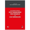 Uluslararası Hukukta Devlet Başkanlarının Yargı Bağışıklığı ve Cezai Sorumluluğu - Nesrin Dabanlıoğlu Alanur