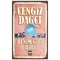 Benim Gibi Biri - Cengiz Dağcı