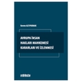 Avrupa İnsan Hakları Mahkemesi Kararları ve İzlenmesi - Kerem Altıparmak