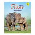  İlk Okuma, Filler - James Maclaine