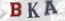 Güvenlik Resmi