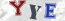 Güvenlik Resmi