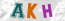 Güvenlik Resmi