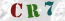 Güvenlik Resmi