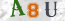 Güvenlik Resmi