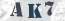 Güvenlik Resmi