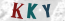 Güvenlik Resmi