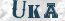 Güvenlik Resmi