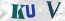 Güvenlik Resmi