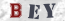 Güvenlik Resmi