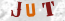 Güvenlik Resmi