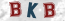 Güvenlik Resmi
