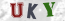 Güvenlik Resmi