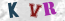 Güvenlik Resmi
