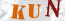 Güvenlik Resmi