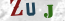 Güvenlik Resmi
