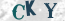 Güvenlik Resmi