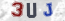Güvenlik Resmi