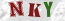 Güvenlik Resmi
