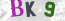 Güvenlik Resmi