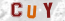 Güvenlik Resmi
