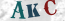 Güvenlik Resmi