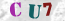 Güvenlik Resmi