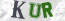 Güvenlik Resmi