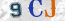 Güvenlik Resmi