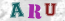 Güvenlik Resmi