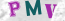 Güvenlik Resmi